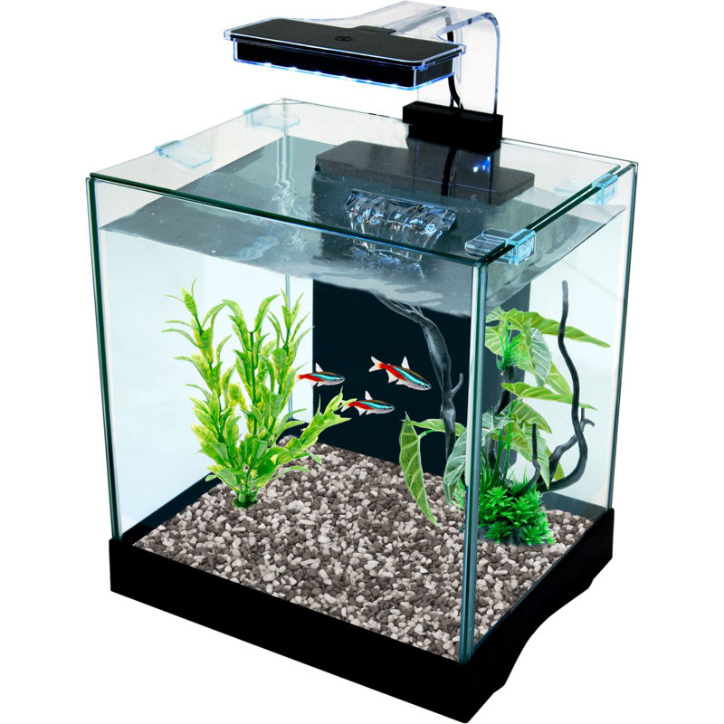 Penn plax curved corner glass aquarium kit best sale